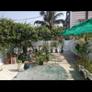 Im Kräuterdachgarten unserer Gastgeber